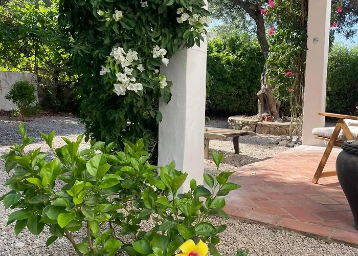 Casa 3 Oliveiras * São Brás de Alportel