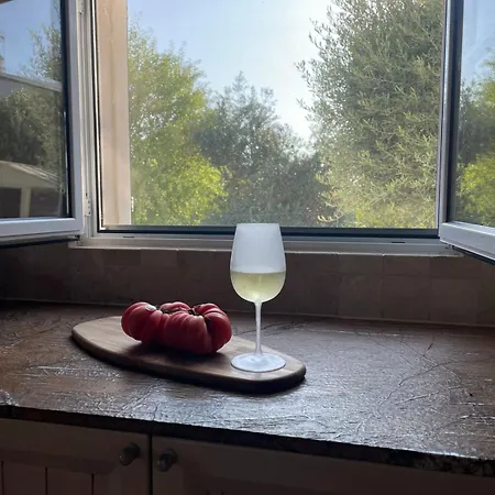 Casa 3 Oliveiras Villa