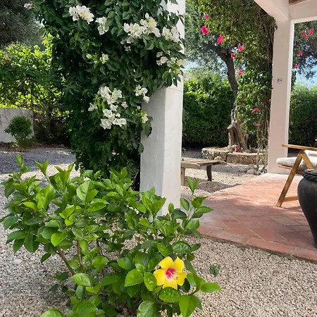 Casa 3 Oliveiras * São Brás de Alportel